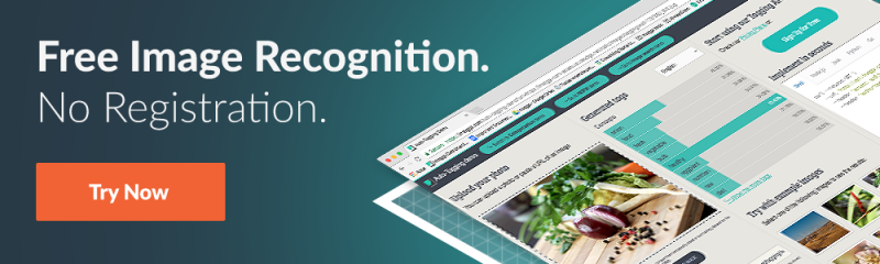 free image recognition with imagga