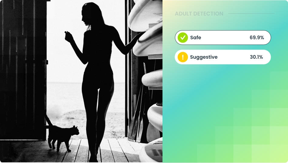 Adult Content Moderation Detection | Imagga Technologies