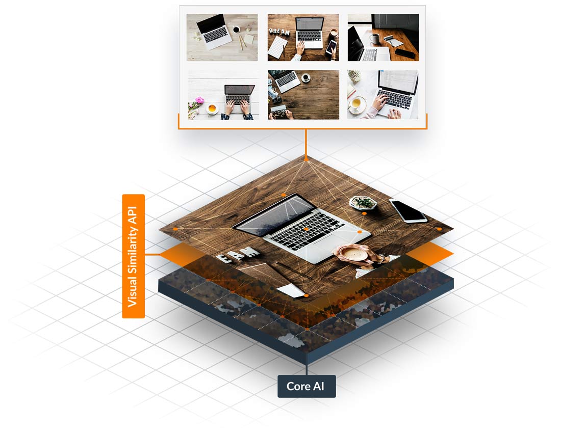 Visual search explanation